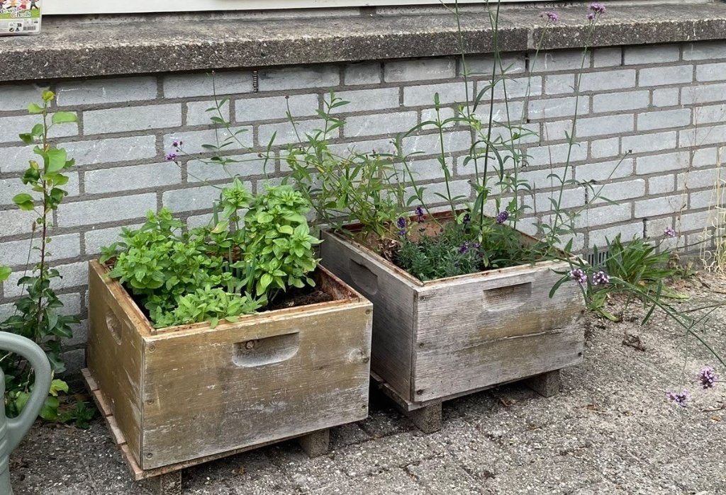 Houten plantenbak, Ophalen, Gebruikt, Vierkant, Balkon