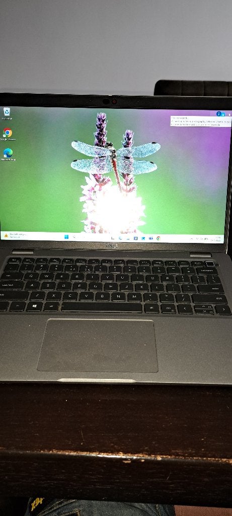 Dell Laptops Latitude 5420, 5300, 7480 met originele adapter, 2 tot 3 Ghz, Qwerty, 14 inch, Ophalen of Verzenden