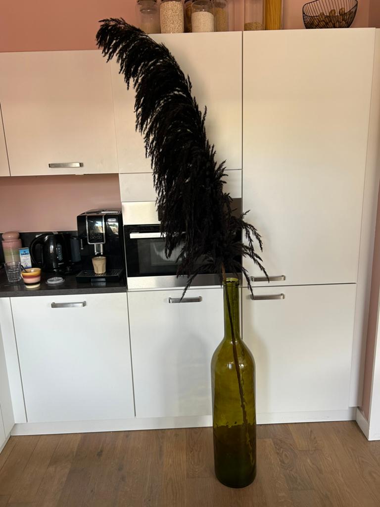 Vaas met pluim, Ophalen, Overige kleuren, Minder dan 50 cm, Glas