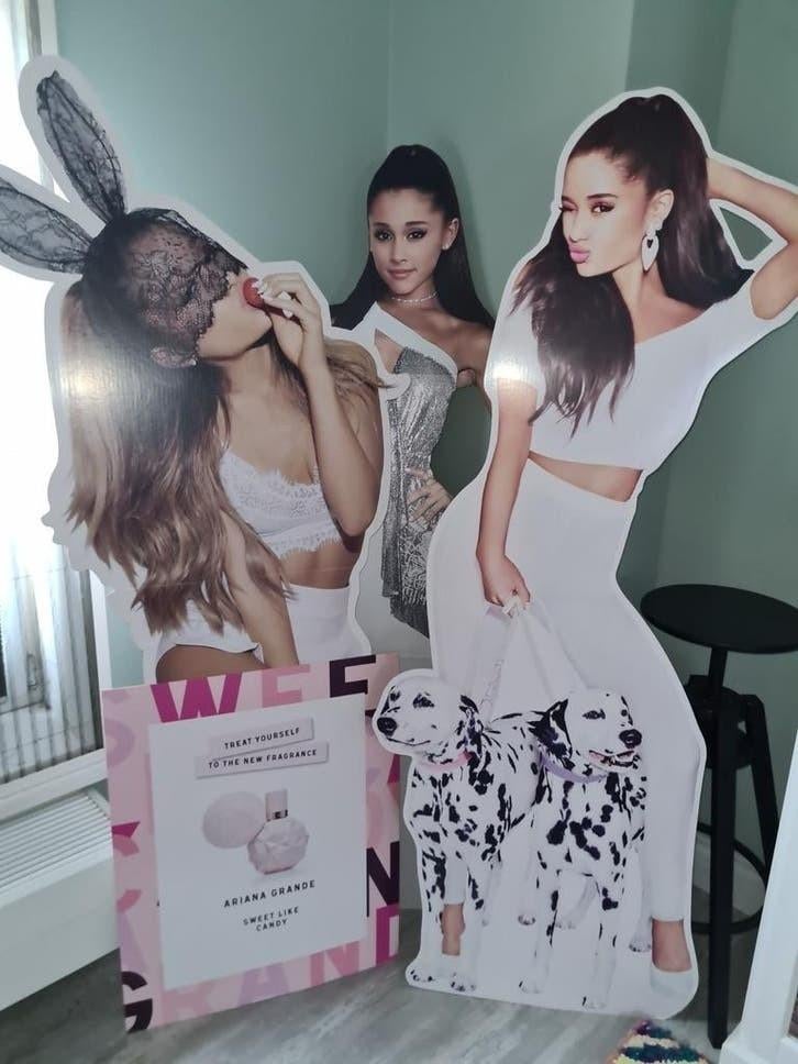 1x zeldzame cutout lifesize bord Ariana Grande, Verzamelen, Ophalen, Poster, Artwork of Schilderij
