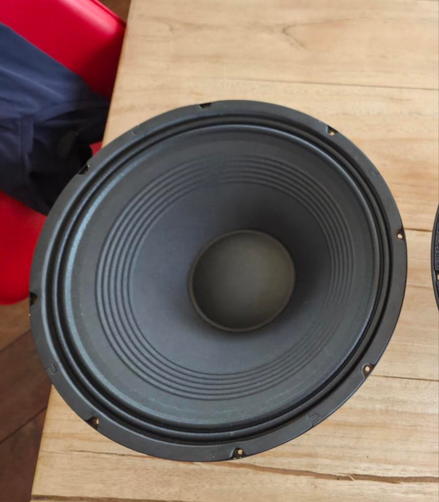 2x 15 inch woofer subwoofer Audiophony D15S, Audio, Tv en Foto, Luidsprekers, Overige merken, Subwoofer, Ophalen of Verzenden
