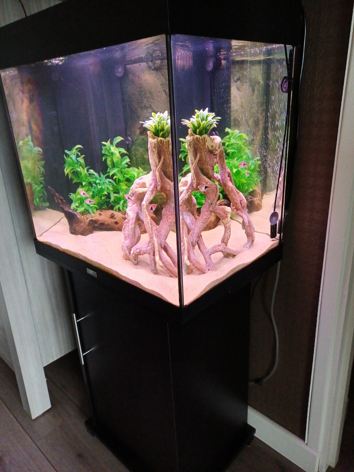 Juwel Lido120 ltr, Ophalen, Gebruikt, Gevuld zoetwateraquarium