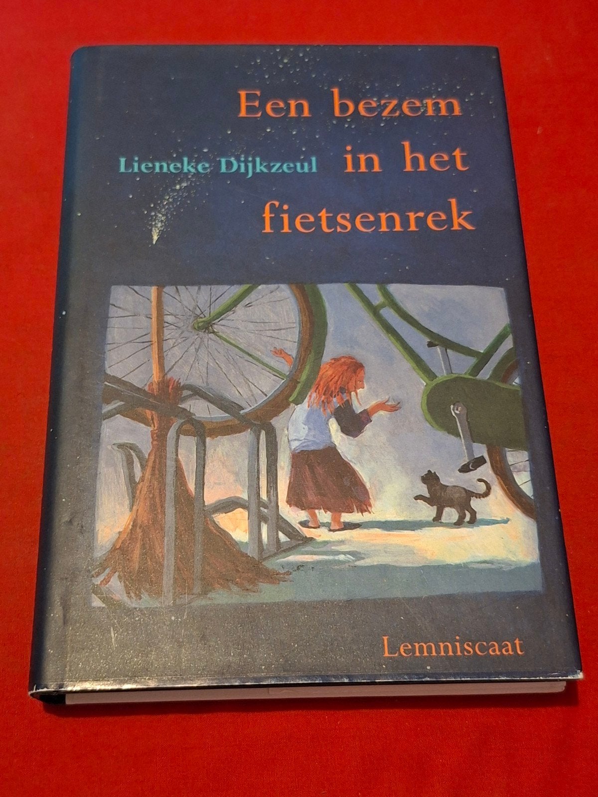 GESIGNEERD Een bezem in het fietsenrek. Lieneke Dijkzeul., Boeken, Ophalen of Verzenden, Gelezen