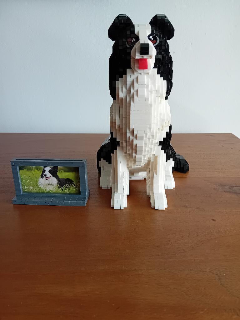 nanoblocks  hond, Ophalen of Verzenden, Zo goed als nieuw, Overige merken