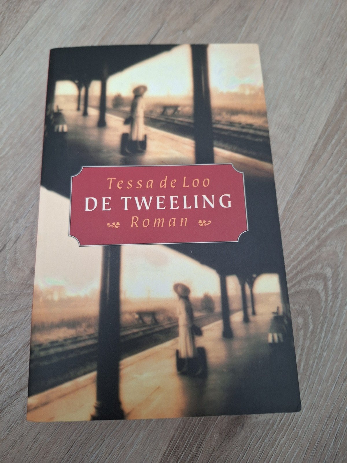 Tessa de Loo - De tweeling, Tessa de Loo, Ophalen of Verzenden, Zo goed als nieuw, Nederland