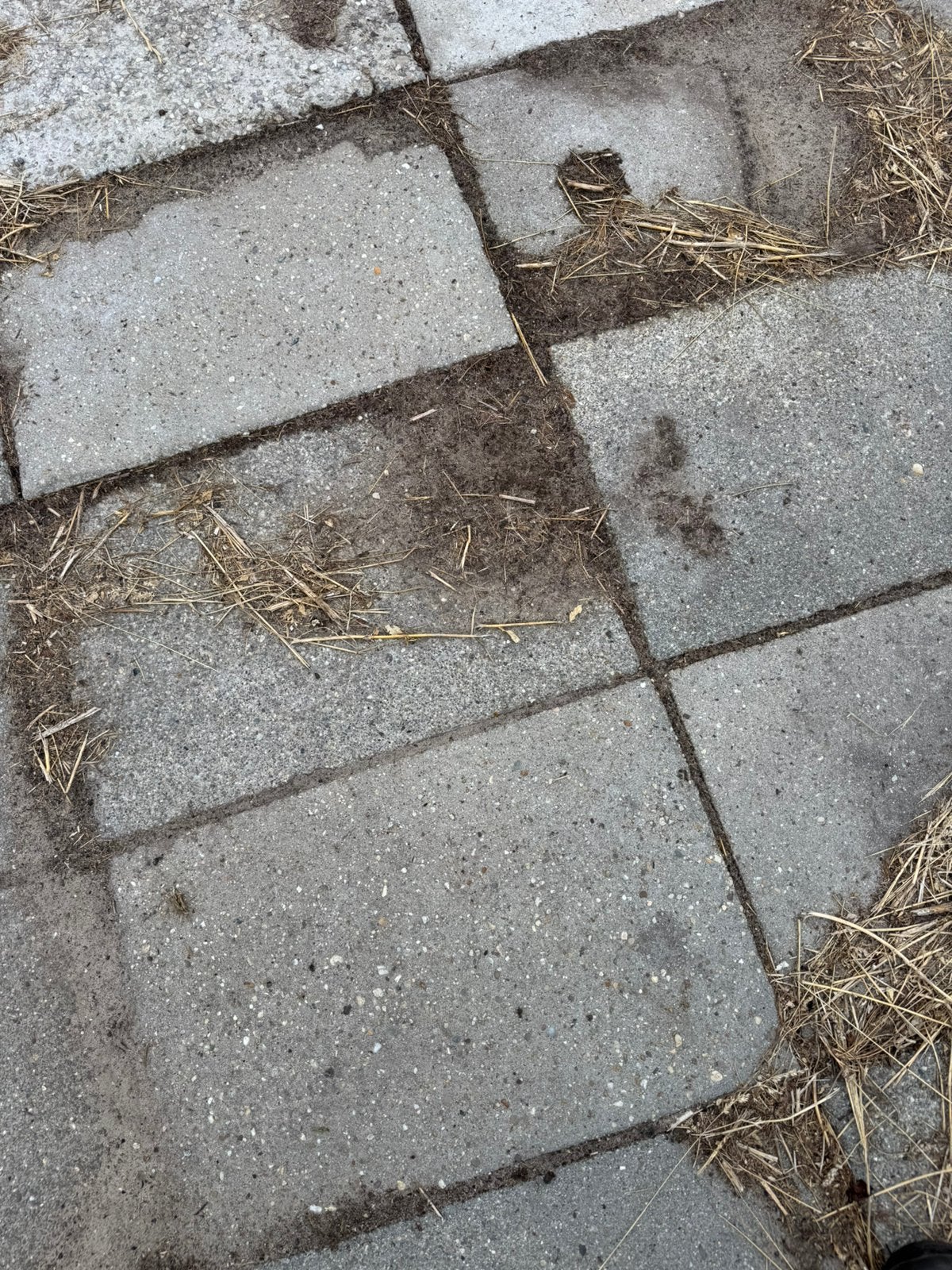 Grindtegels 60 stuks 60x40, Ophalen, Gebruikt, Beton, Terrastegels
