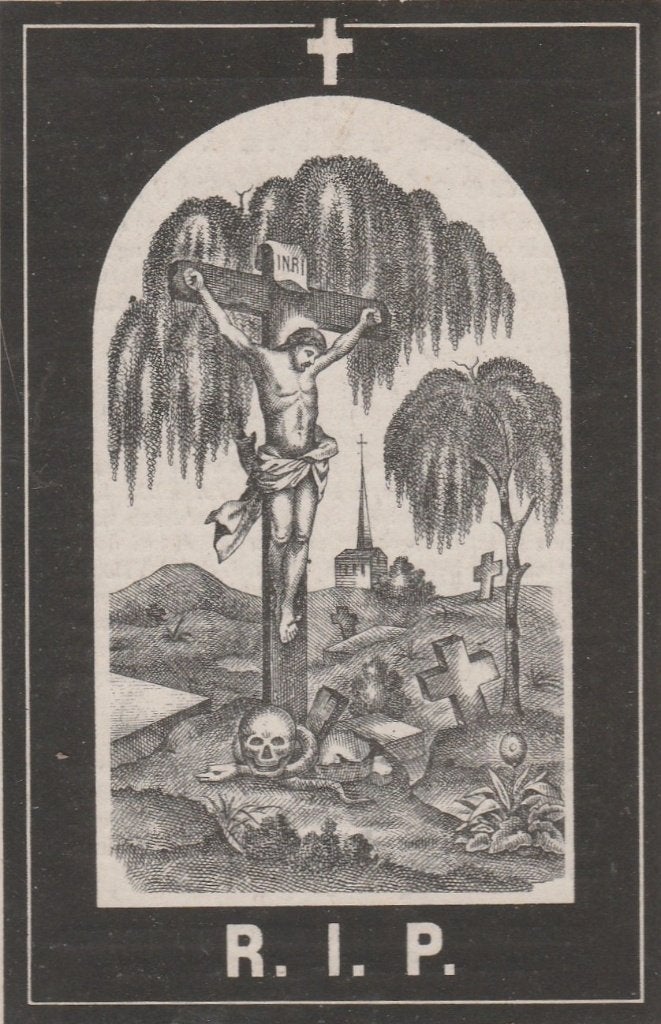 lamswaarde-schmitz 1876, Ophalen of Verzenden, Bidprentje
