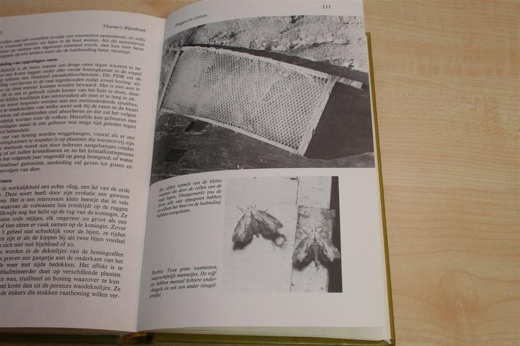 Thieme's Bijenboek — Complete Gids voor Imkers [1981], Ophalen of Verzenden, Gelezen