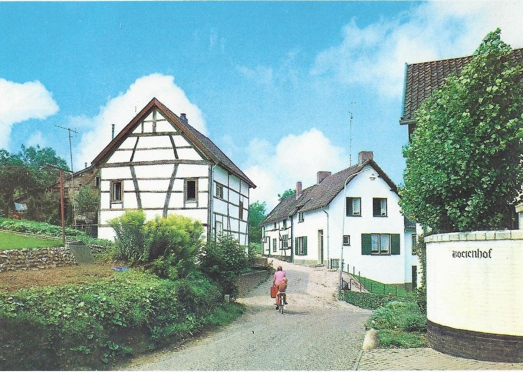 Limburg boeienhof gelopen ansichtkaart ( 597 ), Ophalen of Verzenden, 1980 tot heden, Gelopen, Limburg