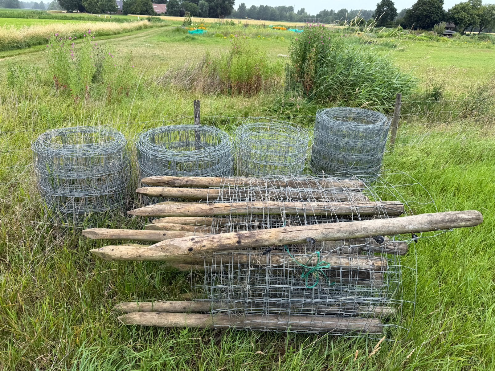 Partij schapen gaas plus palen, Ophalen, Gebruikt, IJzer, Gaashekwerk
