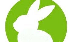 Vakantie opvang konijn, Dieren en Toebehoren