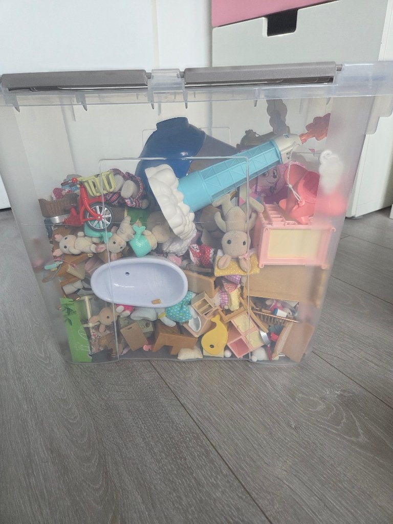 Sylvanian Family, Kinderen en Baby's, Ophalen, Zo goed als nieuw, Toebehoren