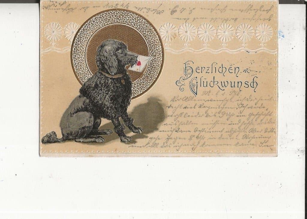Hartelijke Gelukwens Poedel als dienstbode 16-3-1903, Ophalen of Verzenden, Voor 1920, Gelopen, Feest(dag)