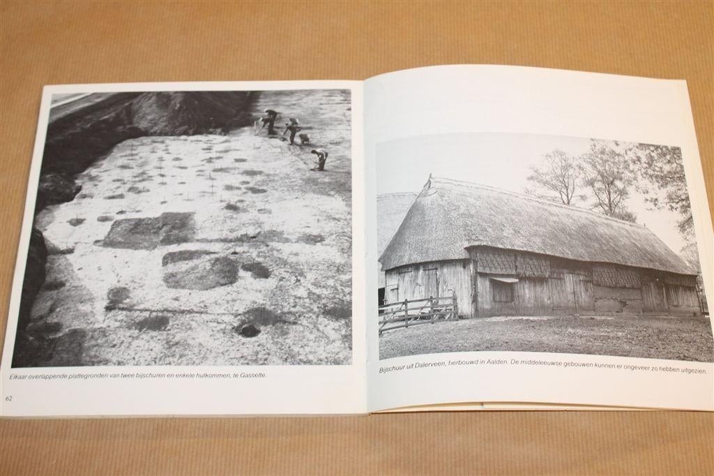Drents Boerenleven — Bronstijd tot Middeleeuwen [1980], Boeken, Ophalen of Verzenden, 14e eeuw of eerder, Gelezen