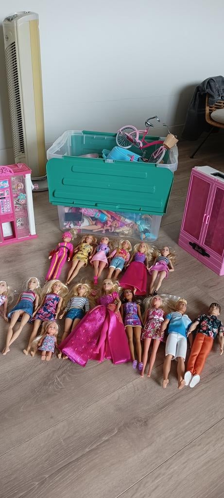 Grote Barbie collectie met accessoires en opbergbox, Kinderen en Baby's, Speelgoed | Poppen, Ophalen, Gebruikt, Barbie