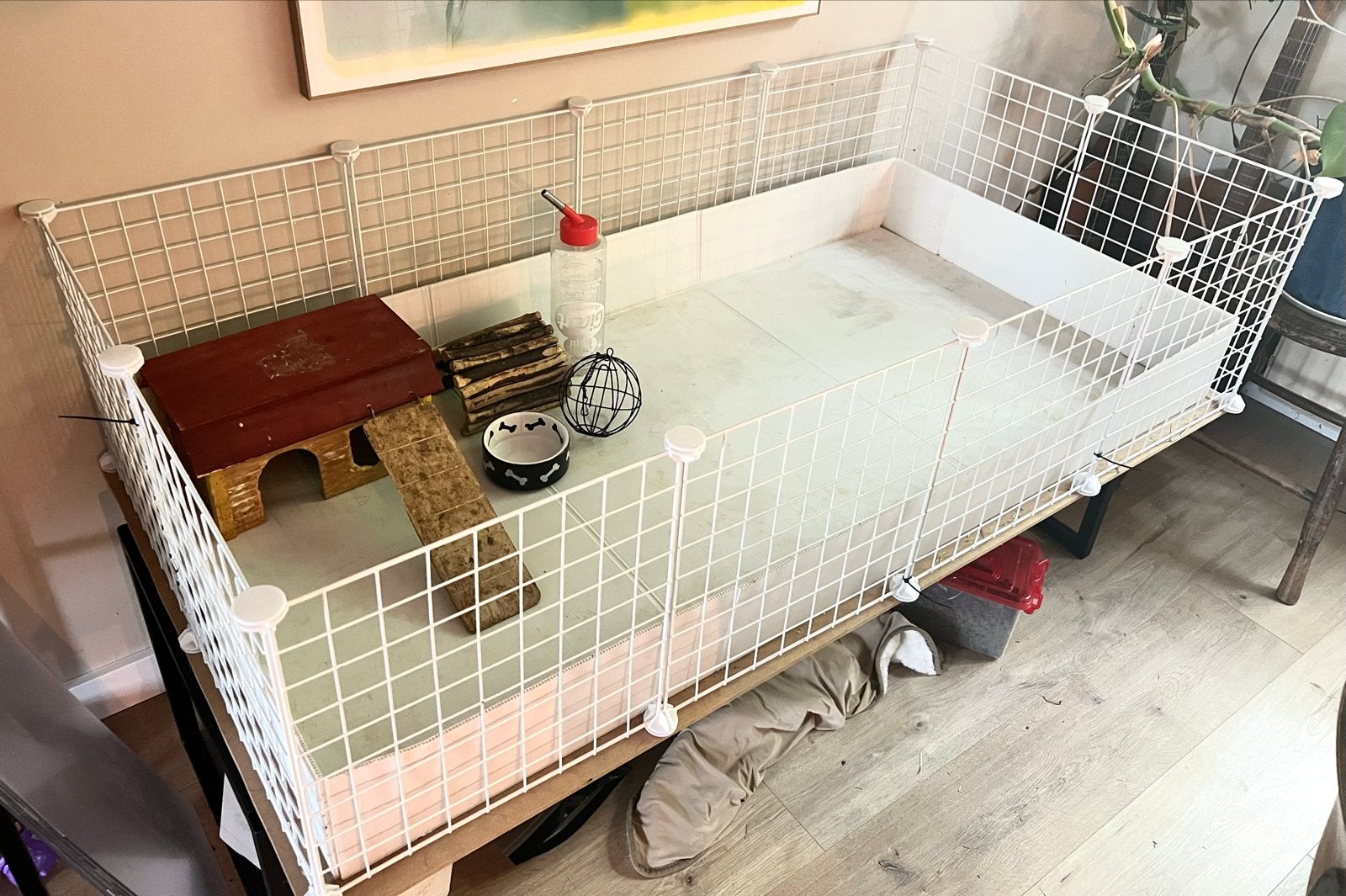Knaagdier hok / ren met toebehoren - 70x140 cm - Cavia, Dieren en Toebehoren, Knaagdieren en Konijnen | Hokken en Kooien, Minder dan 60 cm