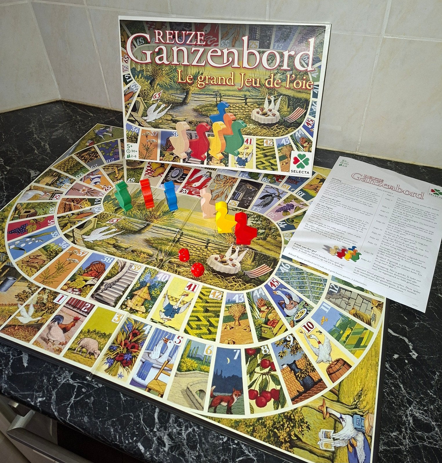 Reuze Ganzenbord, Vijf spelers of meer, Ophalen of Verzenden, Zo goed als nieuw, SELECTA