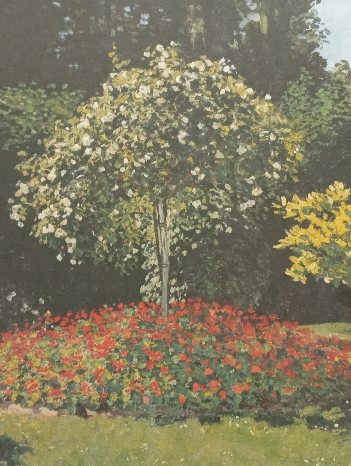 Claude Monet print vrouw met parasol in een Tuin, Ophalen of Verzenden