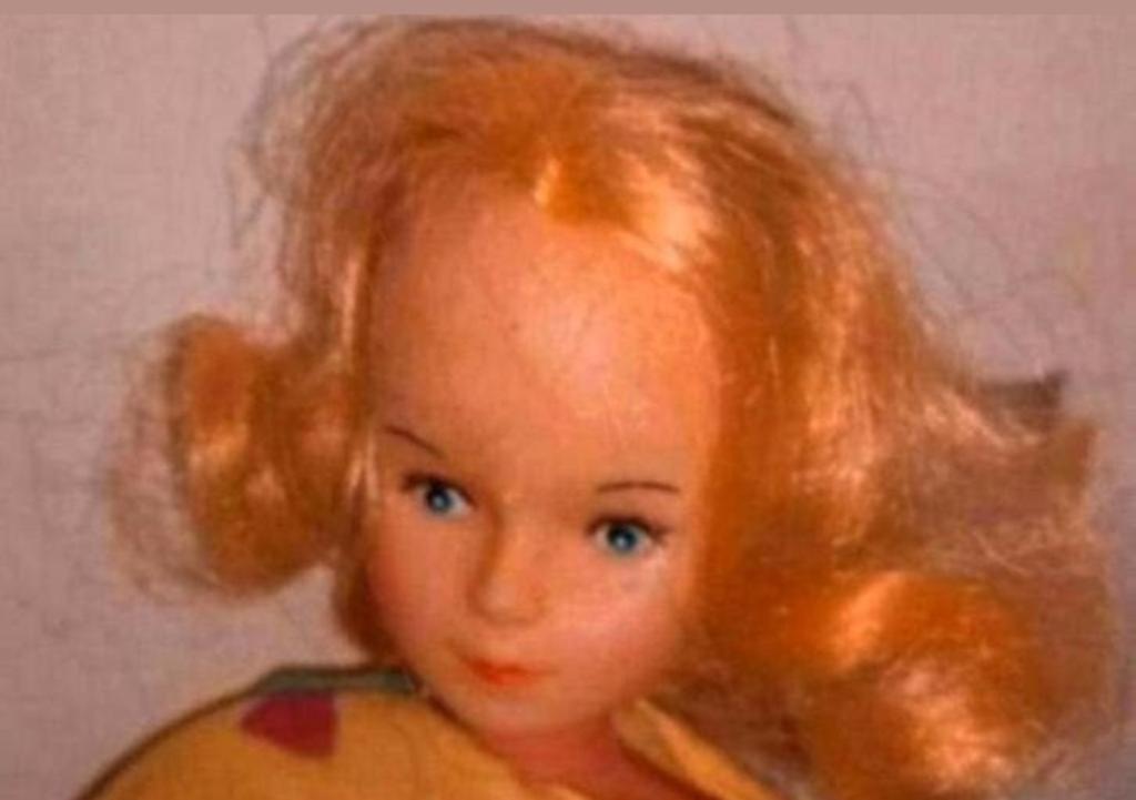 🌻❇️🌻barbie made in china🌻❇️🌻, Verzamelen, Poppen, Verzenden, Gebruikt, Fashion Doll
