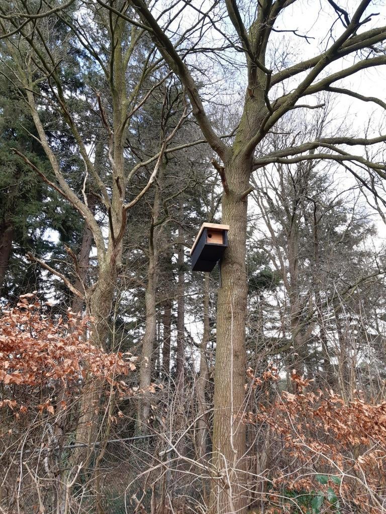 Nieuwe Douglas Nestkast Steenuil, Tuin en Terras, Haardhout, Ophalen