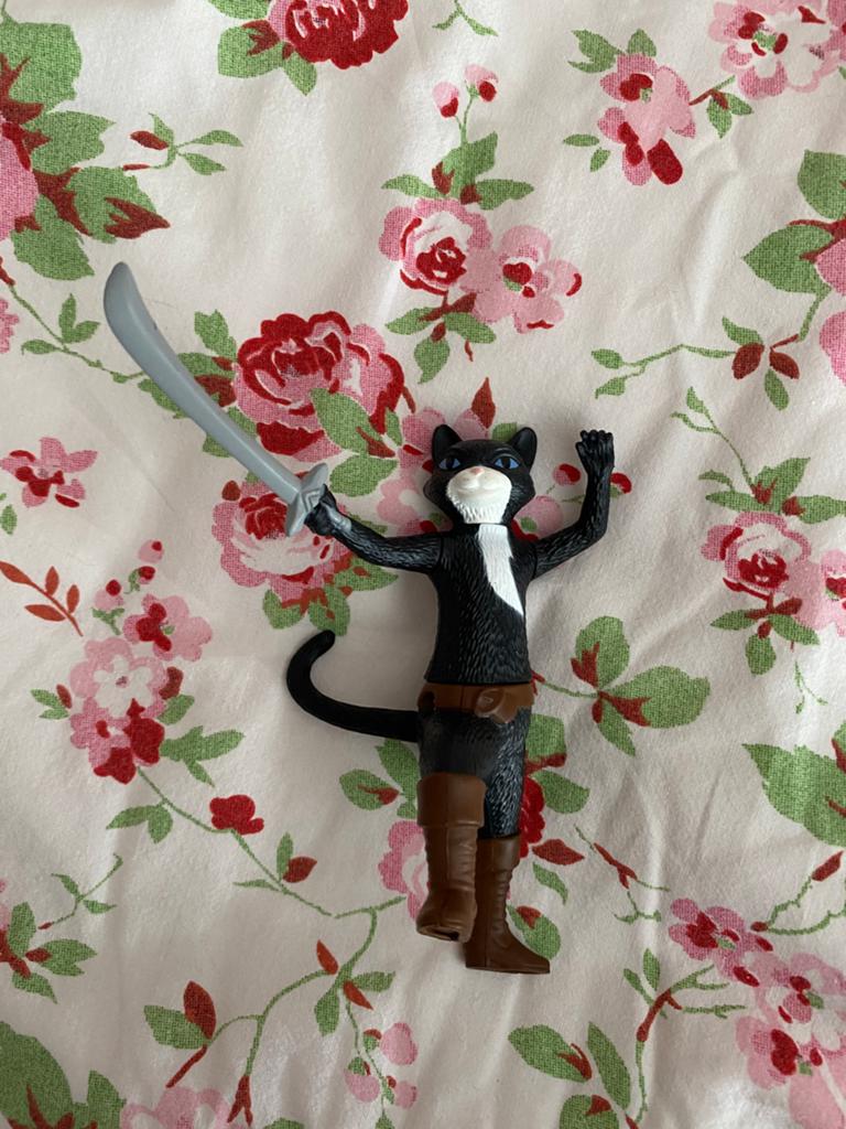 Shrek (kat), Ophalen of Verzenden
