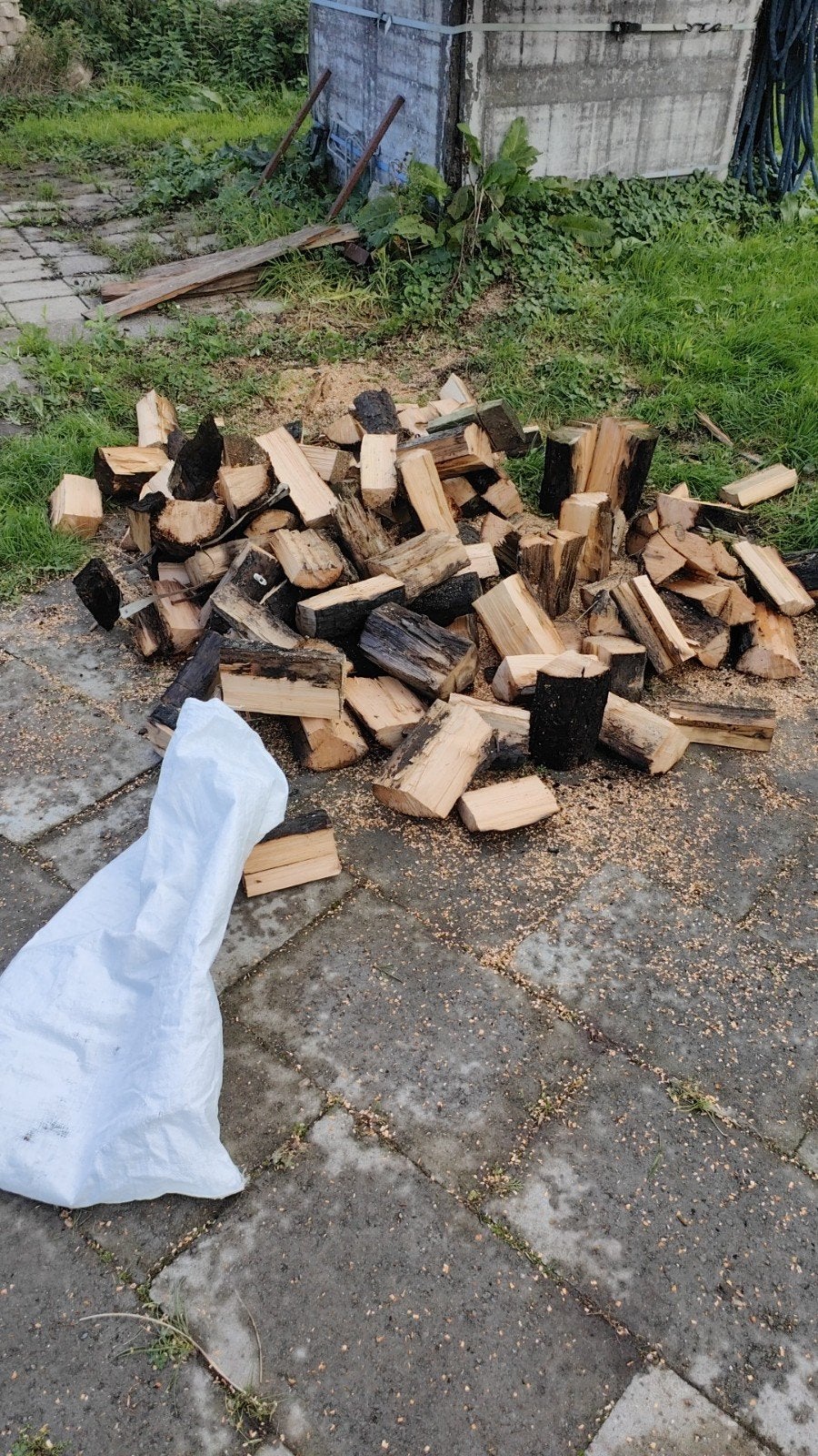 Gezocht: Boomstammen - Gratis zagen en ophalen (min. 1m³), Tuin en Terras, Minder dan 3 m³, Ophalen, Stammen