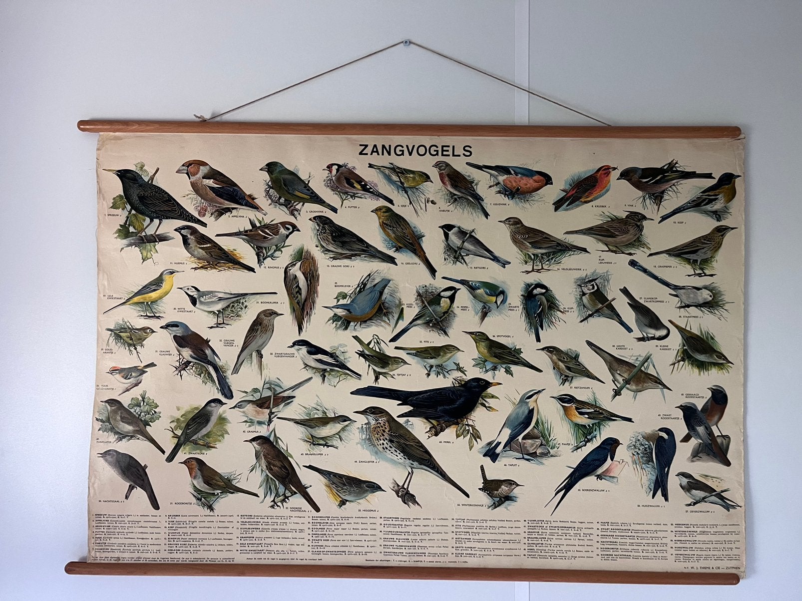 Poster vogels, Ophalen, Zo goed als nieuw