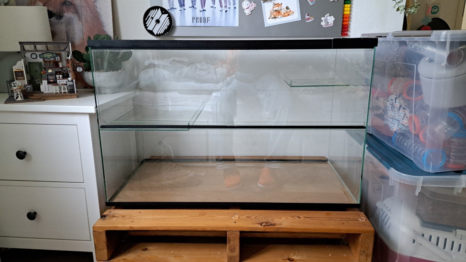 Hamster terrarium, glas met veel inrichting, Dieren en Toebehoren, Ophalen, Gebruikt, Terrarium of Paludarium