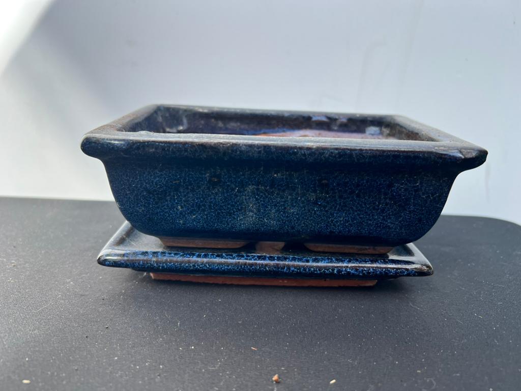 Te Koop Blauw Bonsai Pot Met Schaal, Vierkant, Ophalen of Verzenden, Zo goed als nieuw, Balkon