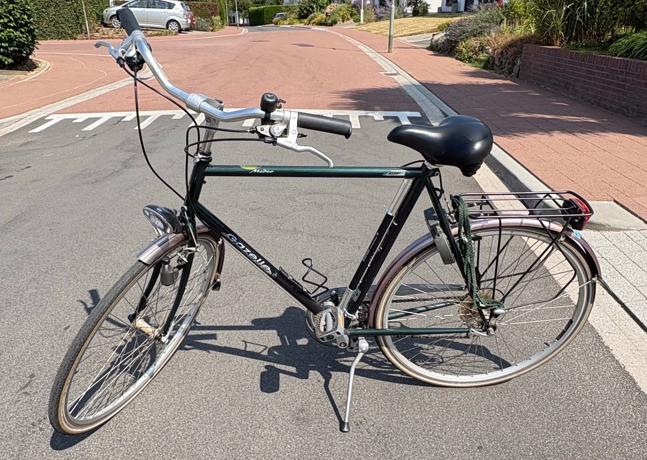 Gazelle Medeo Hybride Lite, Ophalen, Velgrem