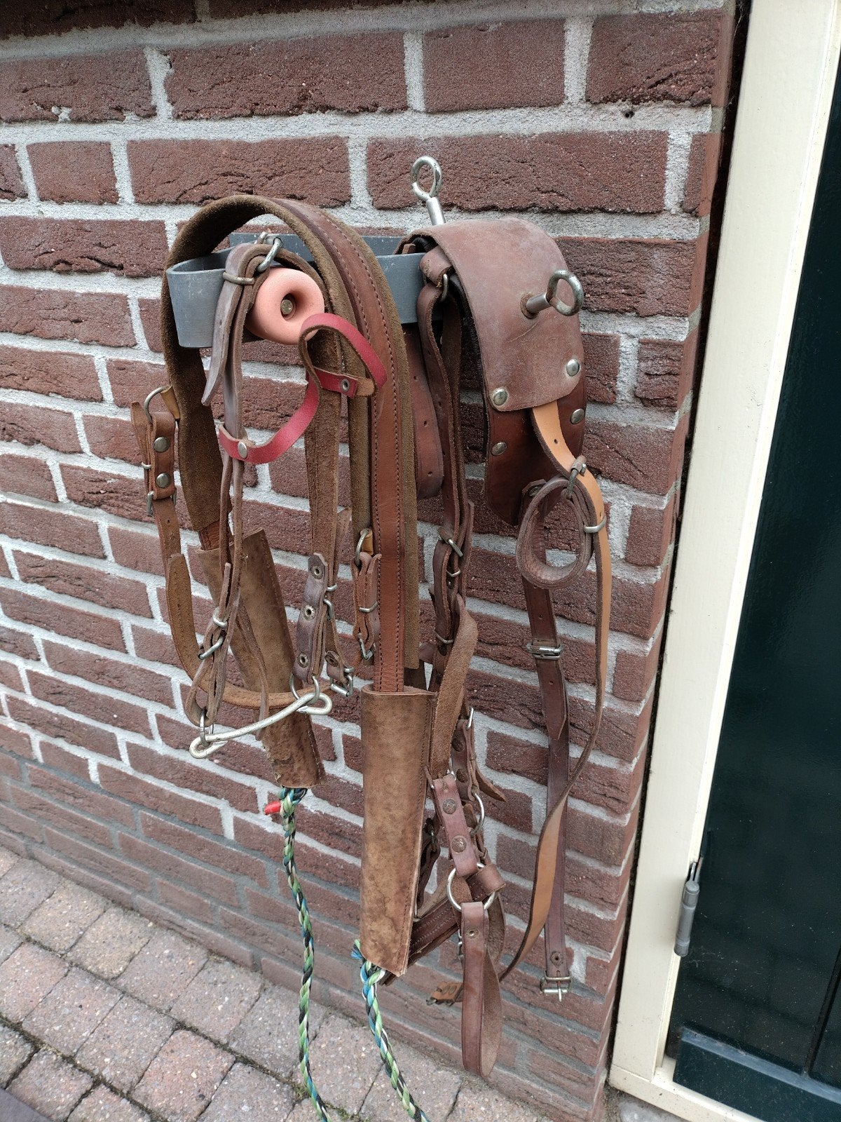 bok tuig, Meerdere dieren, Geit