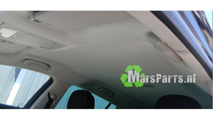 Hemelbekleding van een Opel Insignia, Gebruikt, -, -, Opel