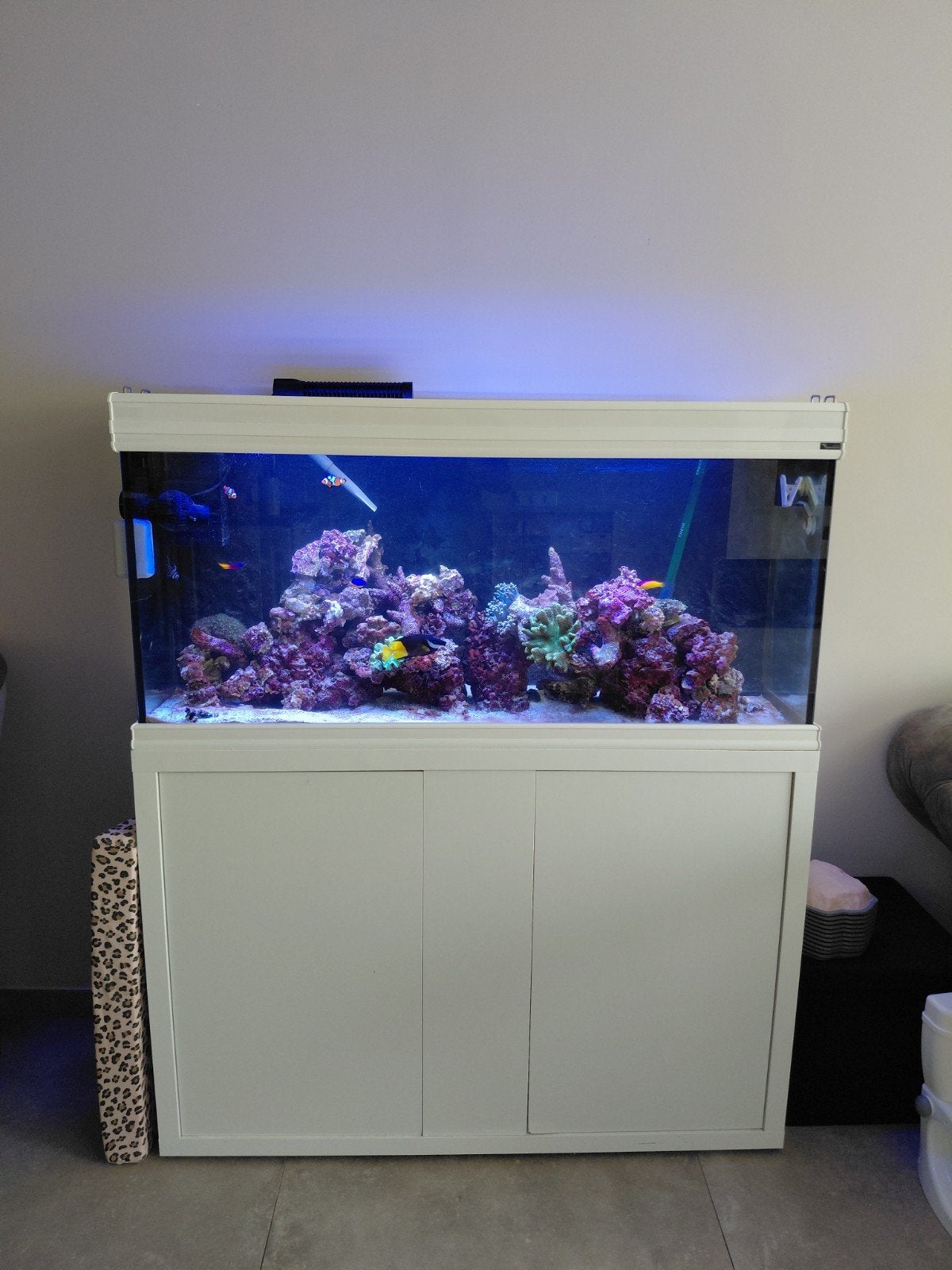 zouwater aquarium compleet, Ophalen of Verzenden