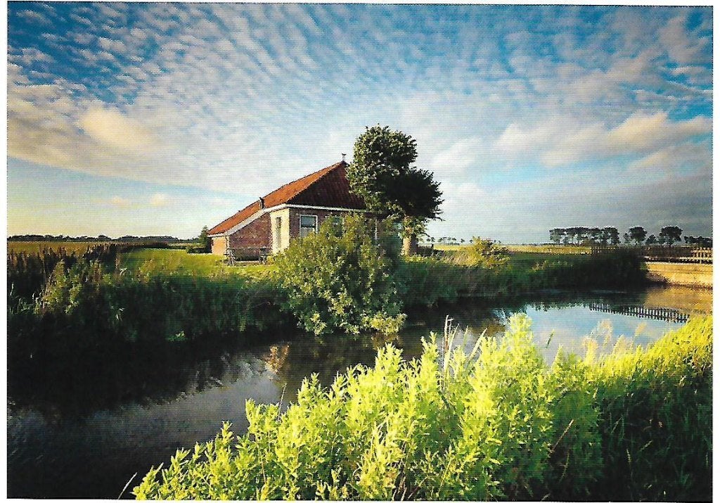 Prov. Groningen- -Harssensbosch., Verzenden, 1980 tot heden, Ongelopen, Groningen