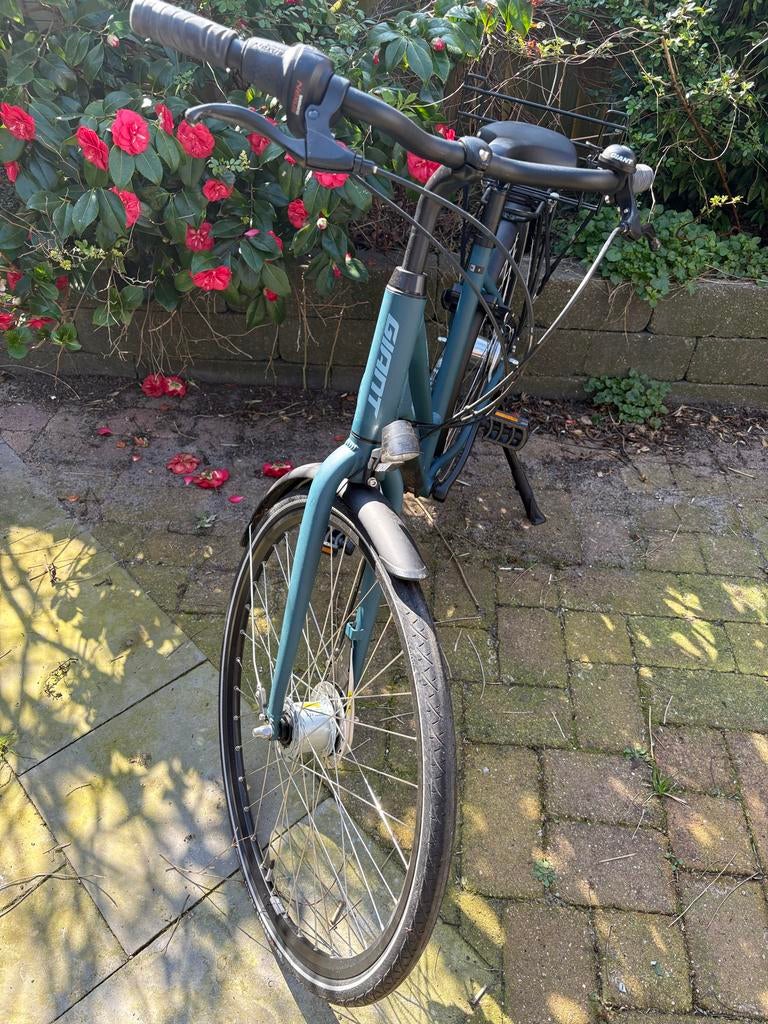 Giant Attend CS – hybride/stadsfiets, 7 versnellingen, Ophalen, Versnellingen, Giant, 53 tot 56 cm