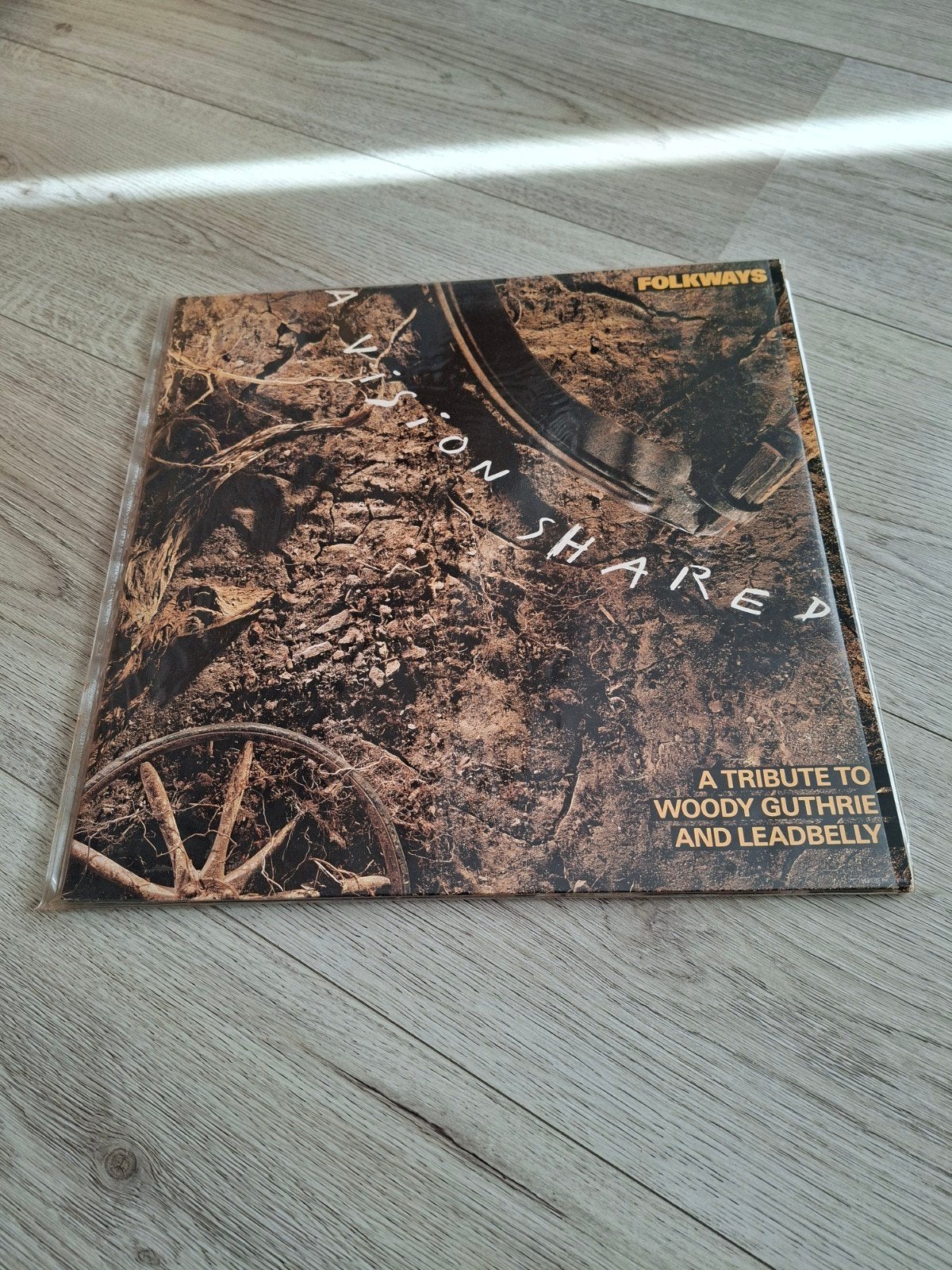 Bruce Springsteen,Bob Dylan U2 etc.-Folkways A Vision Shared, Ophalen of Verzenden, Gebruikt, 12 inch, LP
