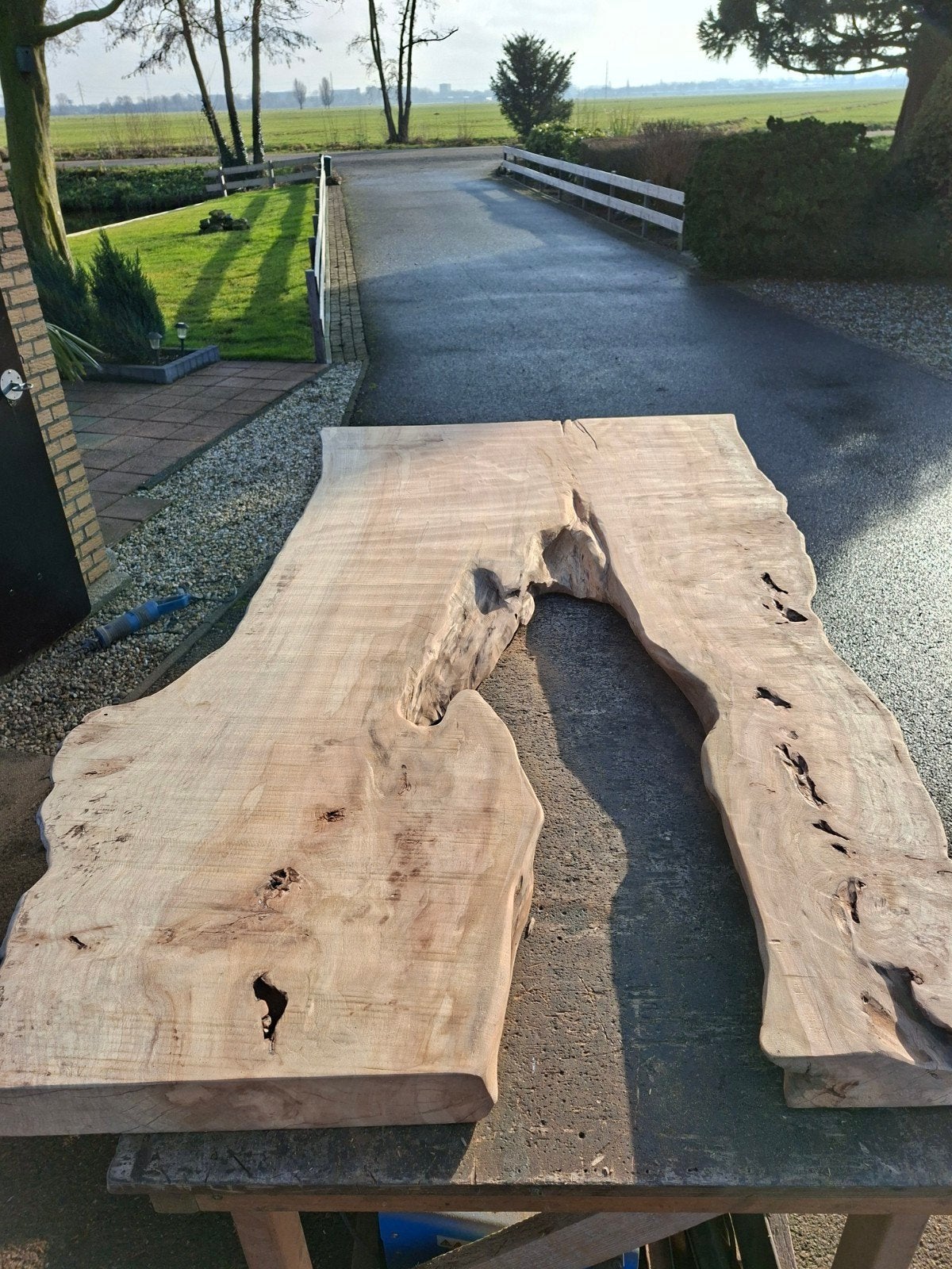 SUPER GAVE BOOMSTAM BLADEN VOOR EPOXY, Ophalen, Nieuw, Plank, Minder dan 200 cm