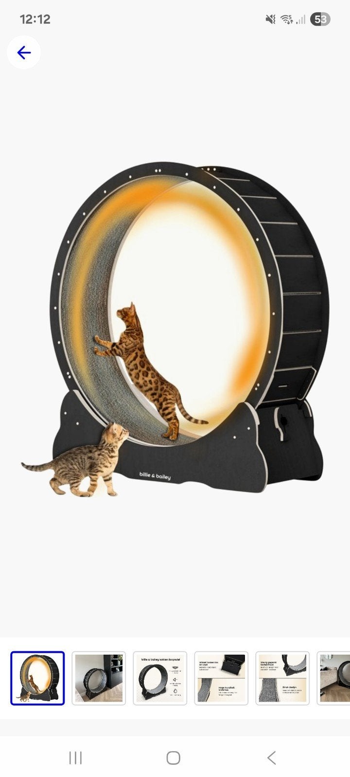 Kattenwiel Maat L 100cm, Dieren en Toebehoren, Katten-accessoires, Ophalen, Nieuw