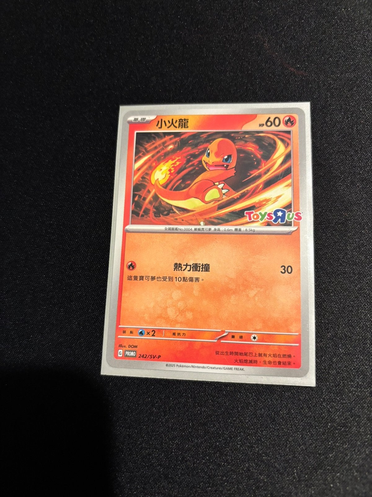Pokemon 2025 - Charmander 242/SV-Promo - Toys R us stamped, Ophalen of Verzenden, Zo goed als nieuw, Meerdere kaarten