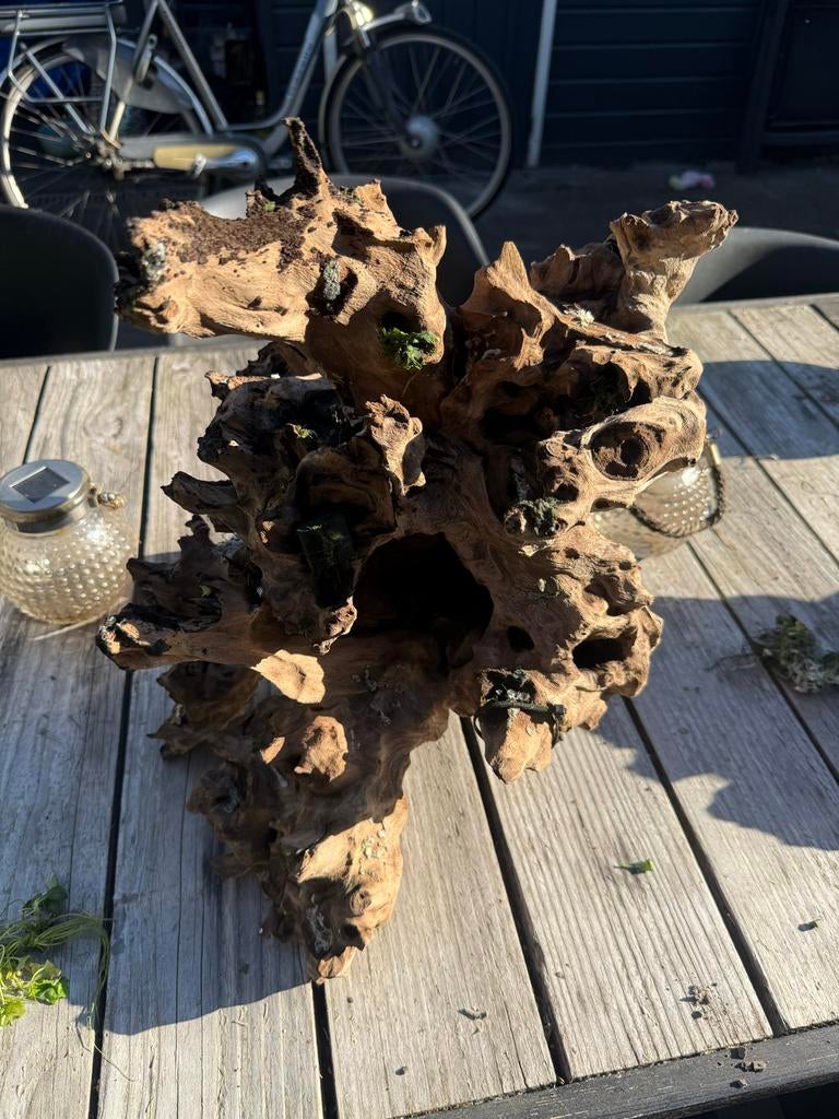 Groot stuk aquarium hout, Hout, Gebruikt, ., Ophalen of Verzenden
