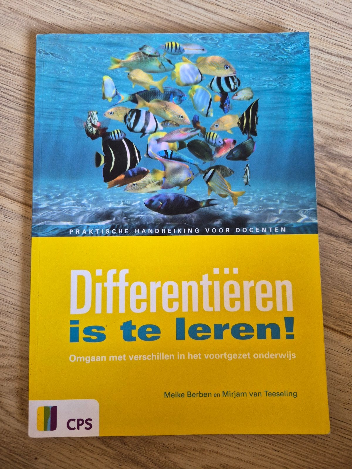 Differentiëren is te leren, Boeken, Ophalen of Verzenden, Zo goed als nieuw, Meike Berben, Sociale wetenschap