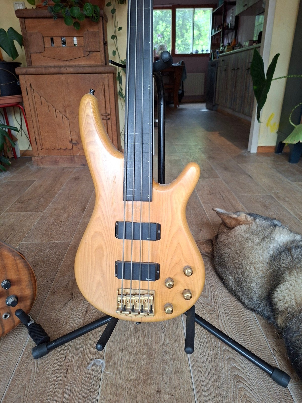 Ibanez musician fretless orginele staat, Ophalen of Verzenden