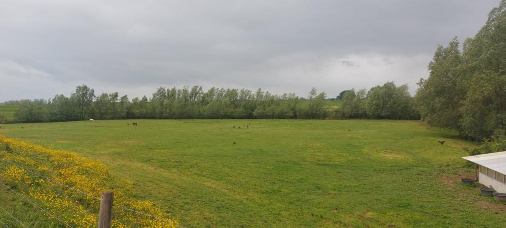 1,5 hectare weiland, perceel, grond, met stal, Dieren en Toebehoren, Stalling en Weidegang