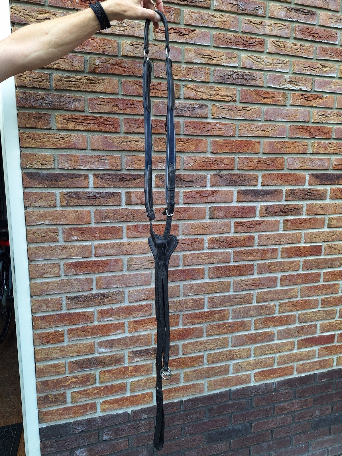 borsttuig met Martingaal (maat full), Dieren en Toebehoren, Ophalen of Verzenden, Gebruikt