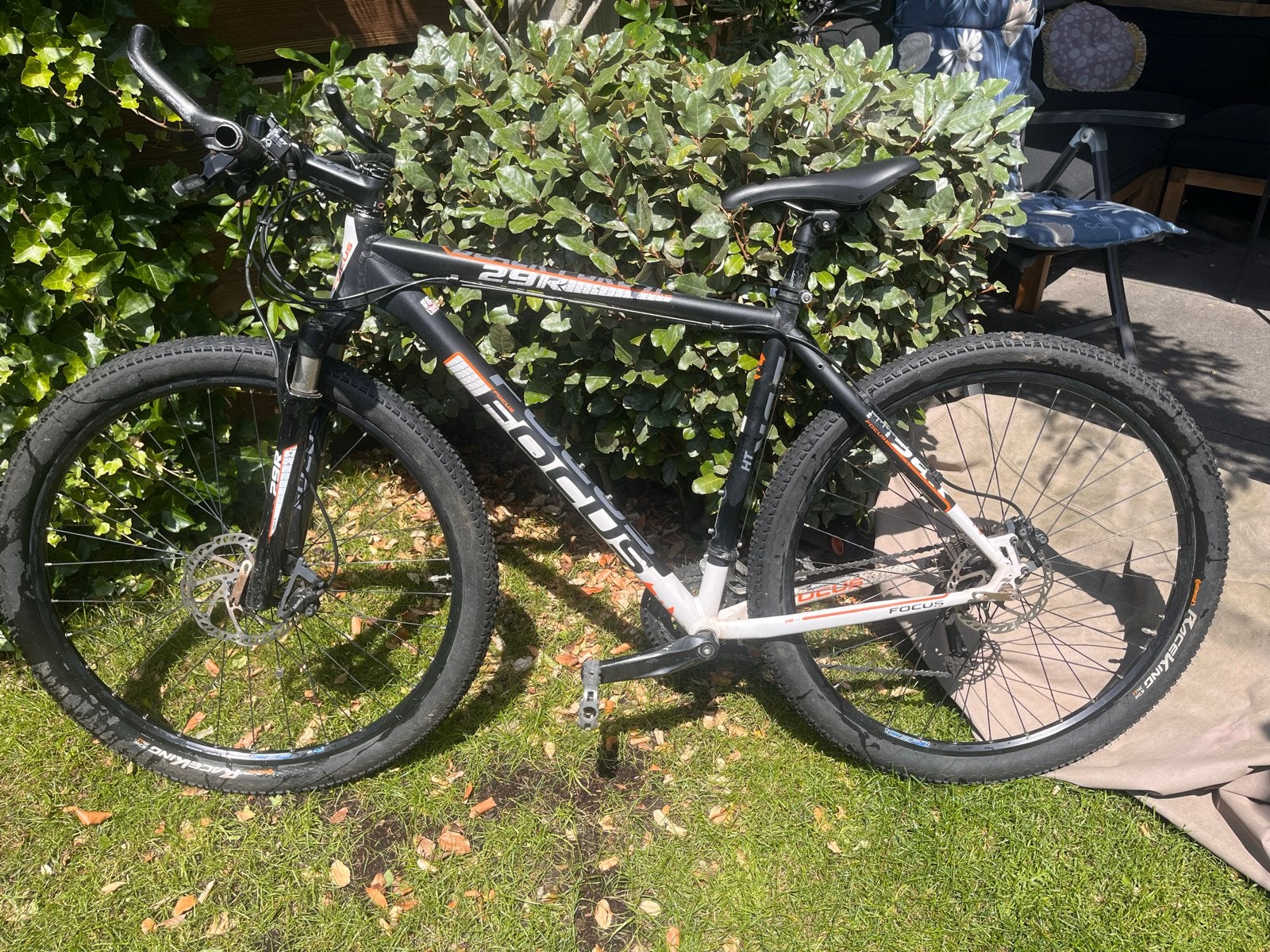 Focus MTB 29 inch, L frame - Ideaal voor Nederlandse singlet, Fietsen en Brommers, Fietsen | Mountainbikes en ATB, Overige merken