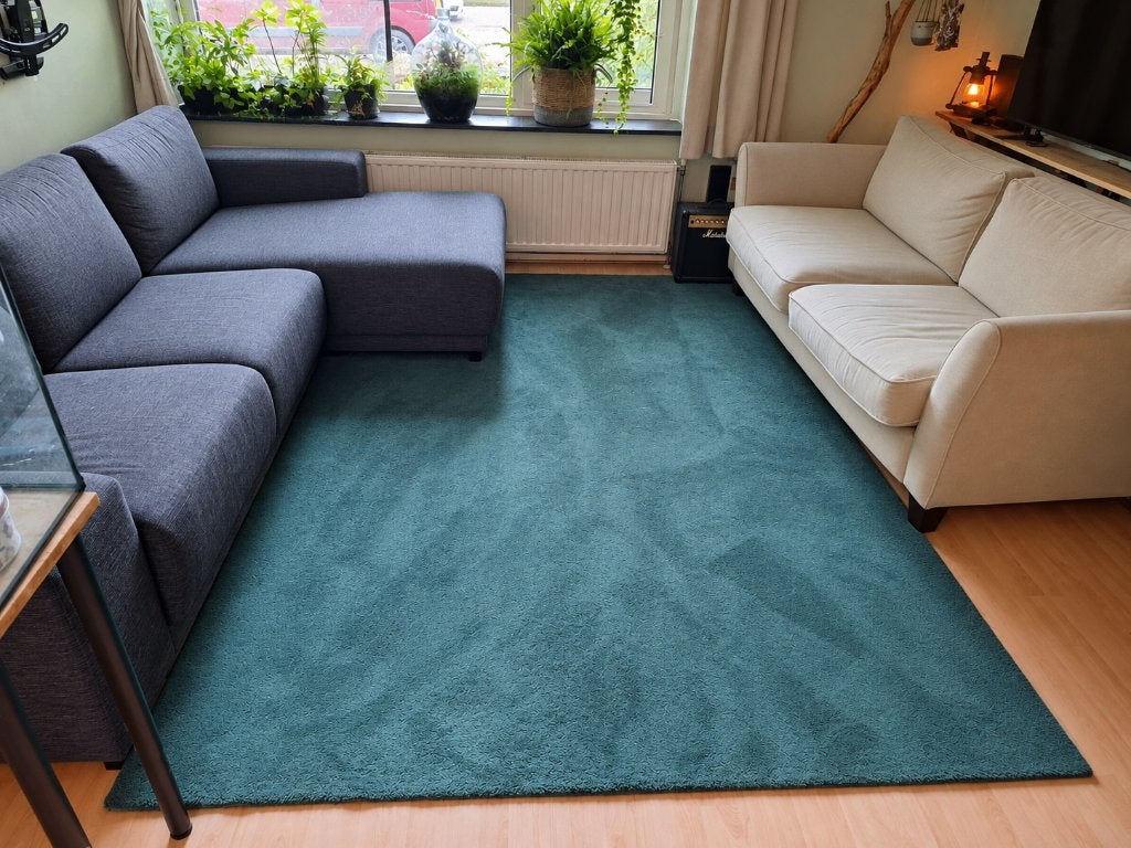 Vloerkleed kortpolig, groen, Ophalen, 200 cm of meer, Zo goed als nieuw, 200 cm of meer