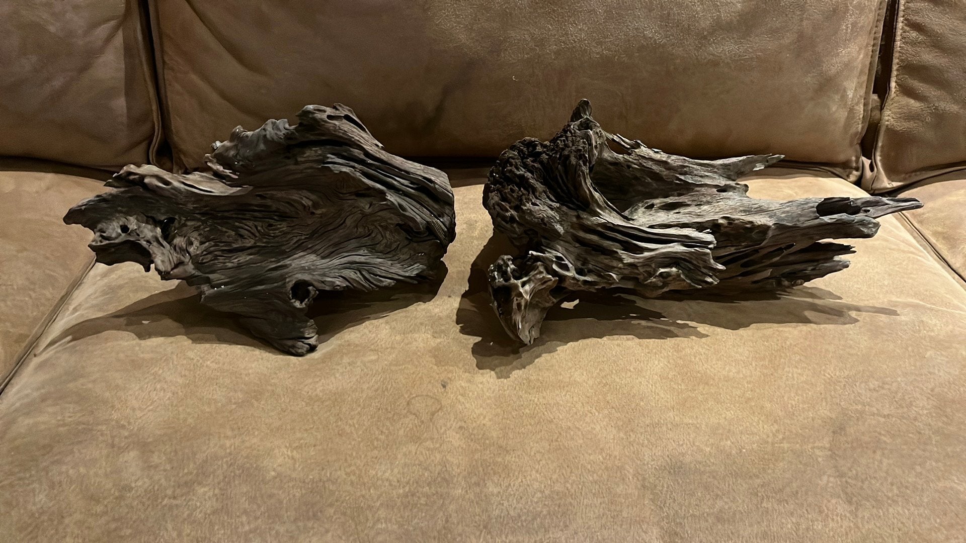 Decoratie hout voor aquarium/terrarium, Ophalen, Plant(en), Steen of Hout