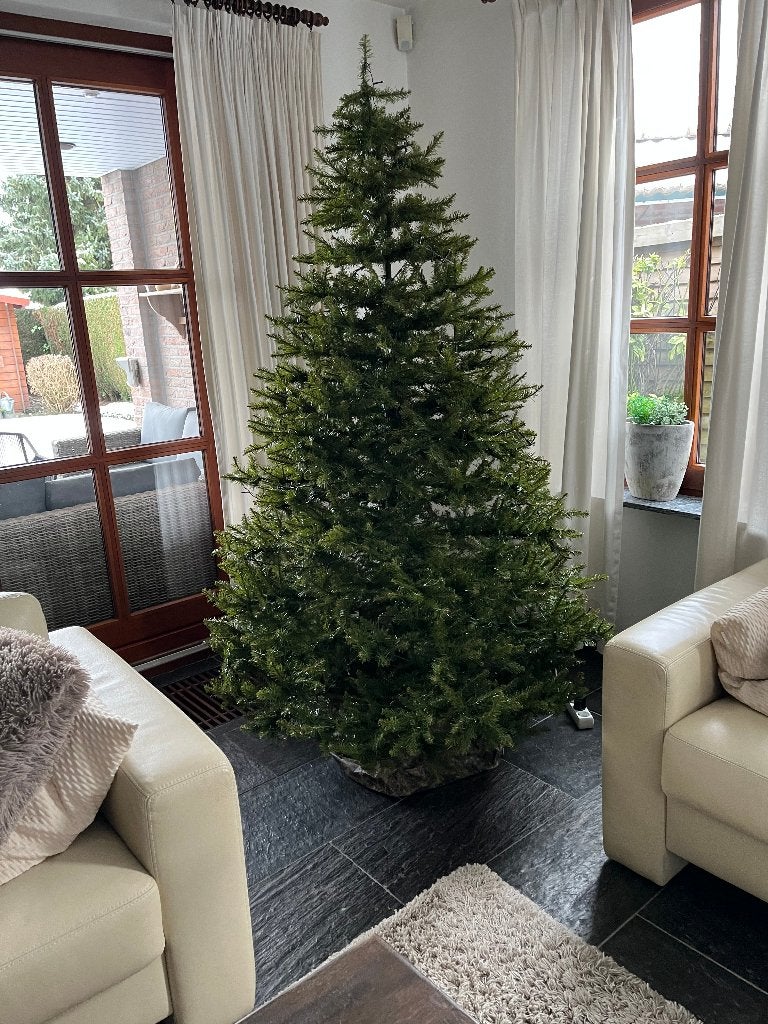 Kerstboom, Ophalen, Zo goed als nieuw