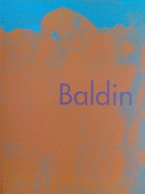 Wim van der Beek - BALDIN - de magie van het moment -, Boeken, Kunst en Cultuur | Beeldend, Ophalen of Verzenden, Zo goed als nieuw