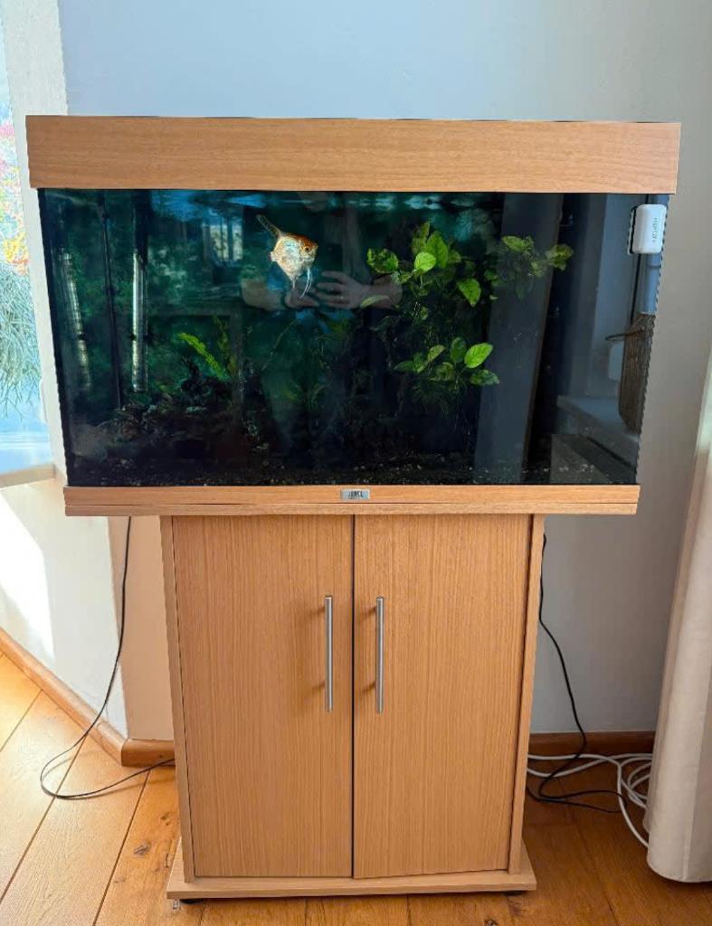 aquarium juwel, Ophalen, Gebruikt, Leeg aquarium, Juwel